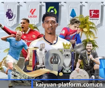 kaiyuan-platform.com.cn APP